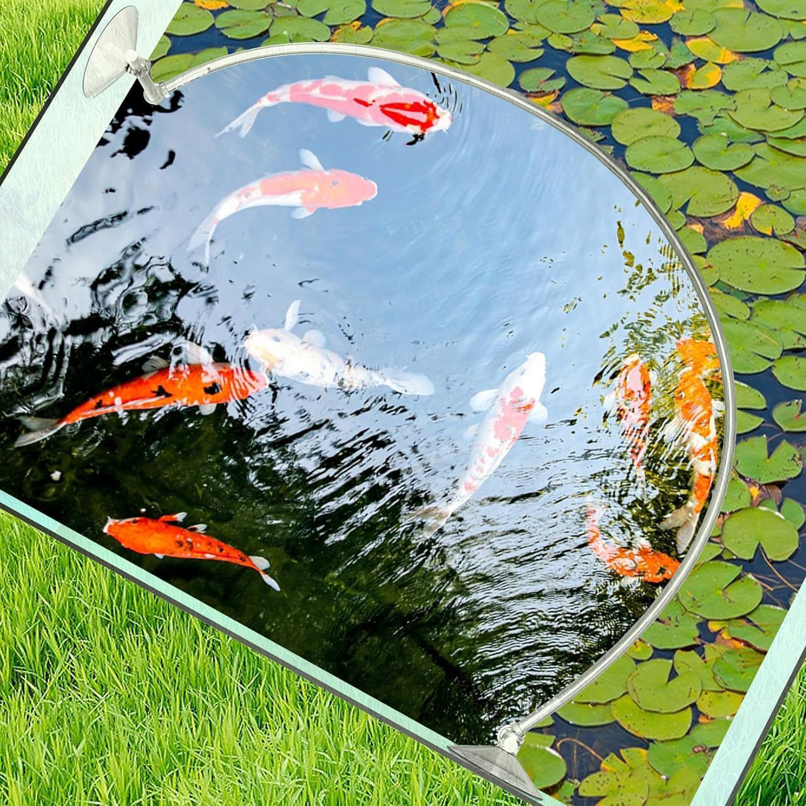 Aquarium Floating Plant Fence  - Home Improvement Fence reseña y precio