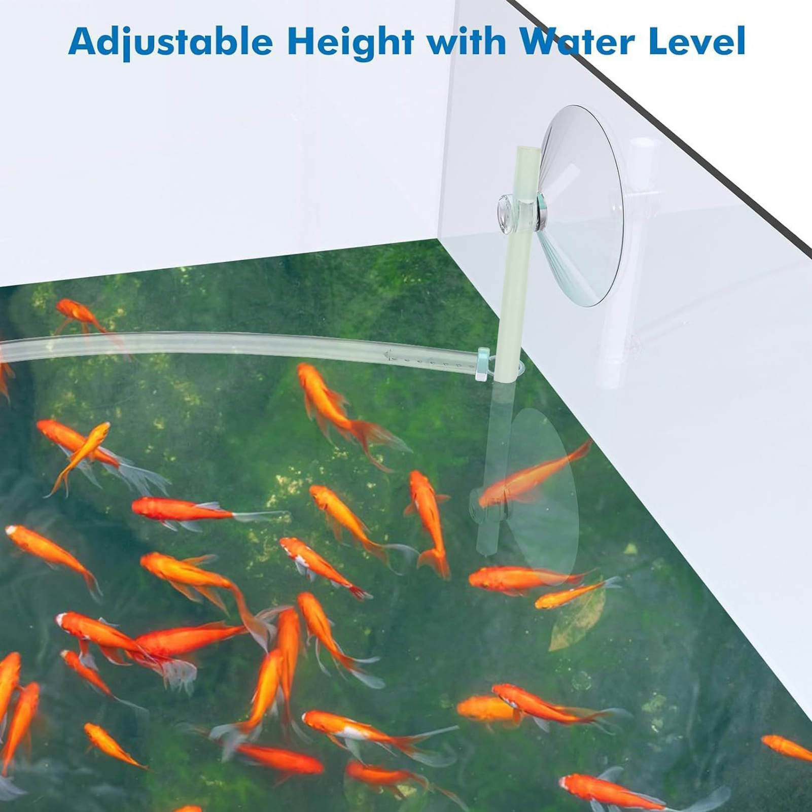 Aquarium Floating Plant Fence  - Home Improvement Fence reseña y precio